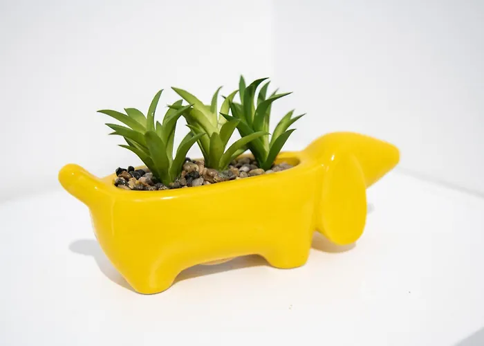 Appartement Malaka *